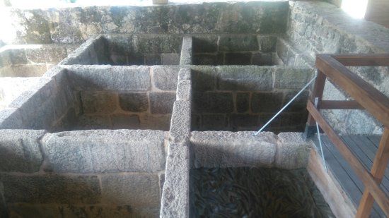 Salgadeiras de Moreiras